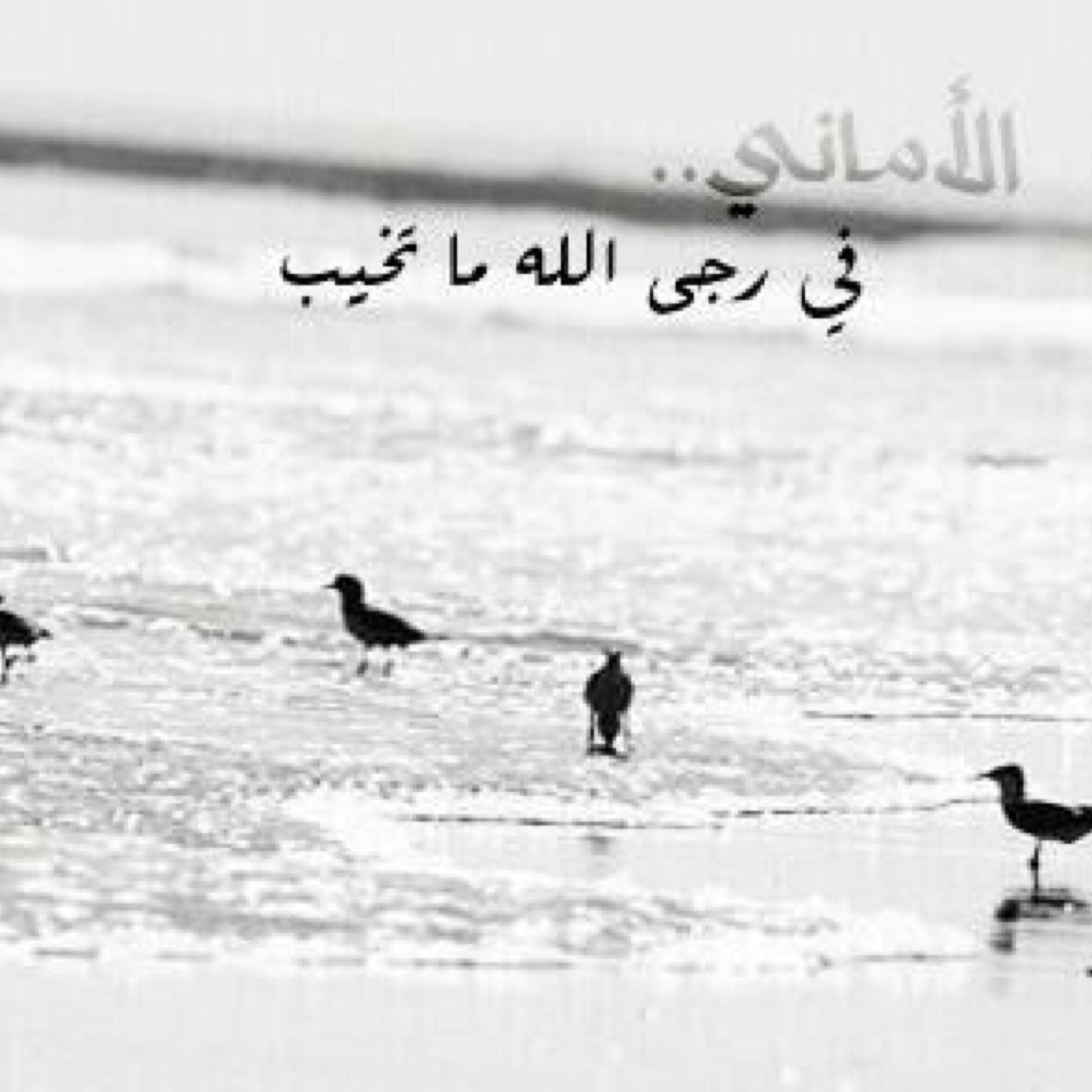 اللهم اسق كل ميت تحت التراب غيثاً يرتوي منه ترابهم وتغسل معه ذنوبهم ، اللهم اني ذكرتهم فارزقني بمن يذكرني حين تنقطع بي الاسباب.