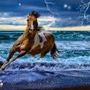 ابو هباش (@0538855311) Twitter