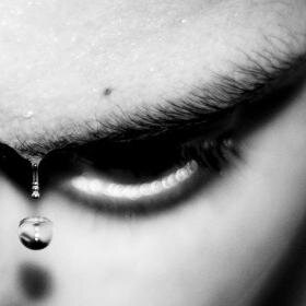 Merblogogy's profile picture. We're creating a living, hybrid drama for web and social media. This is 'now' climate change combining news, science and always involving you.