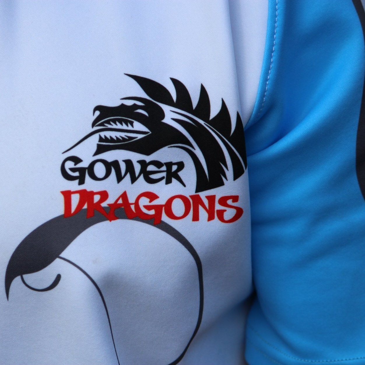 Touch Club based at South Gower RFC but players come from all over Gower and West Swansea Clubs and schools. All levels/ages welcome. Speed and fitness help!