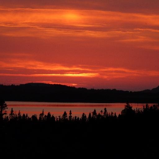 OliversLanding's profile picture. A family owned tourist home located in the heart of Gros Morne National Park.