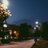 walied_sos23321's profile image