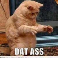 Tyrfing Blade (@astrius1) 's Twitter Profile