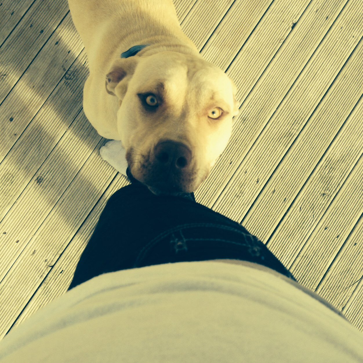 walilali59's profile picture. Follow me xx