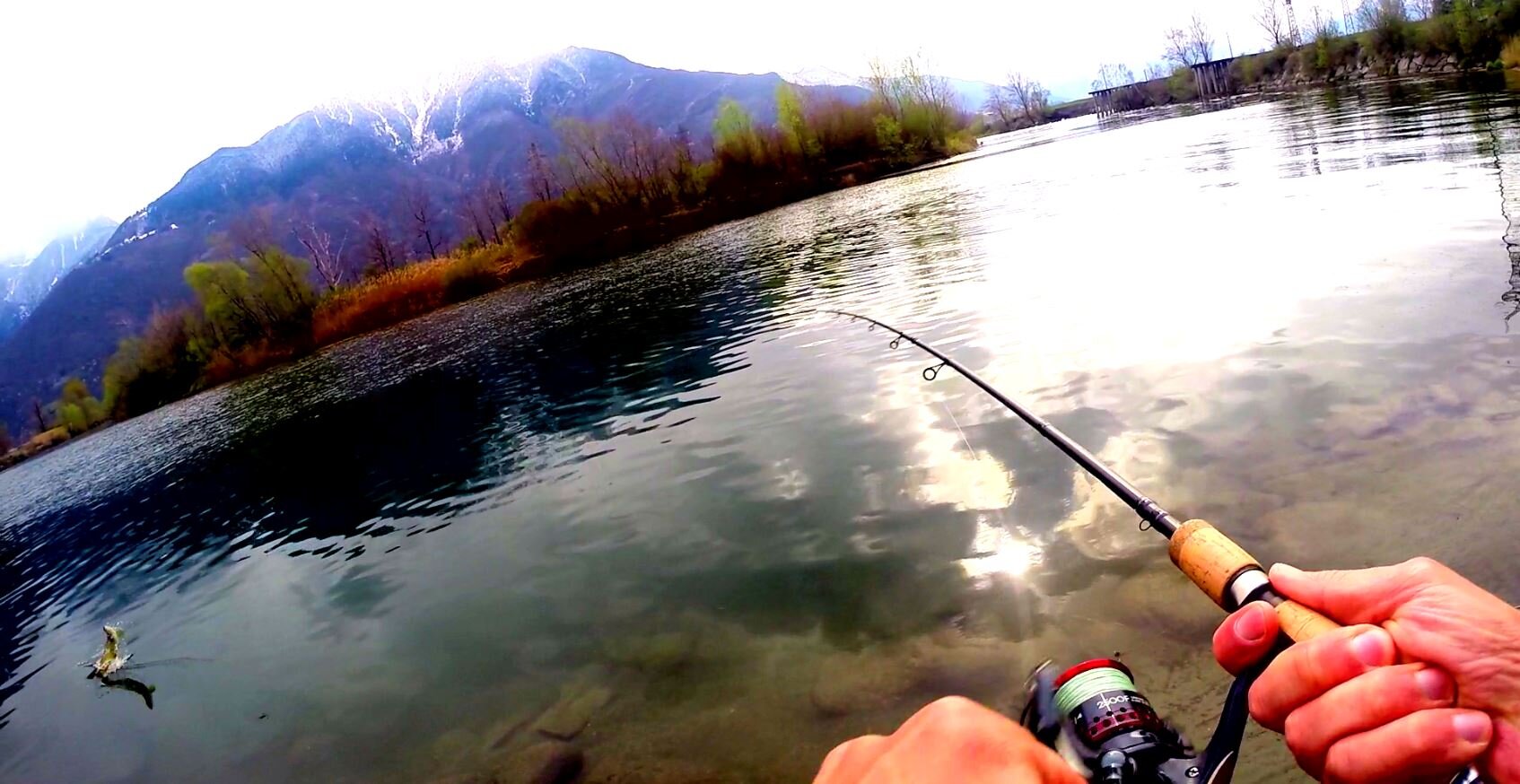 SB3ILLO's profile picture. Fishing , only spinning no kill!