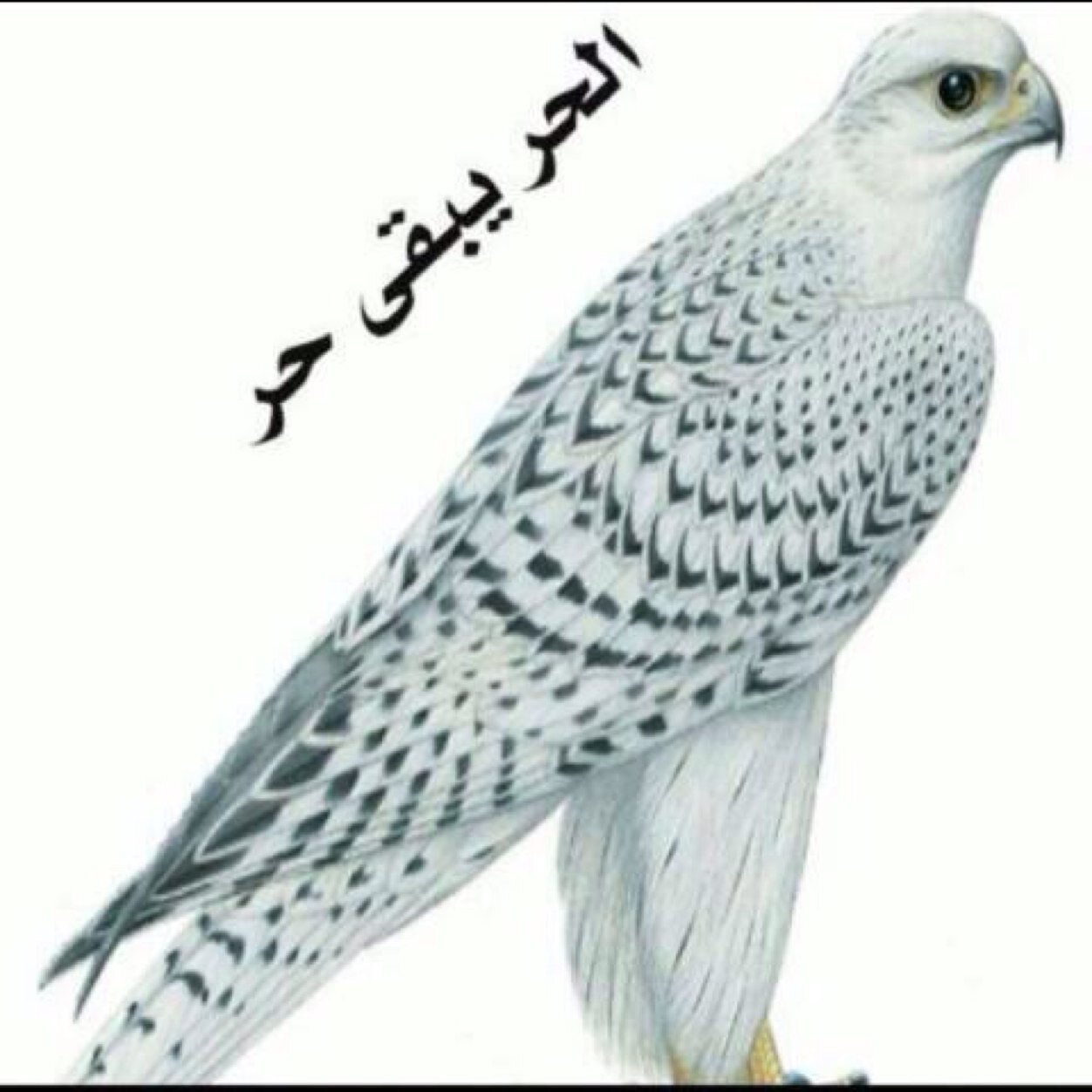 Flowers2004Vip's profile picture. 