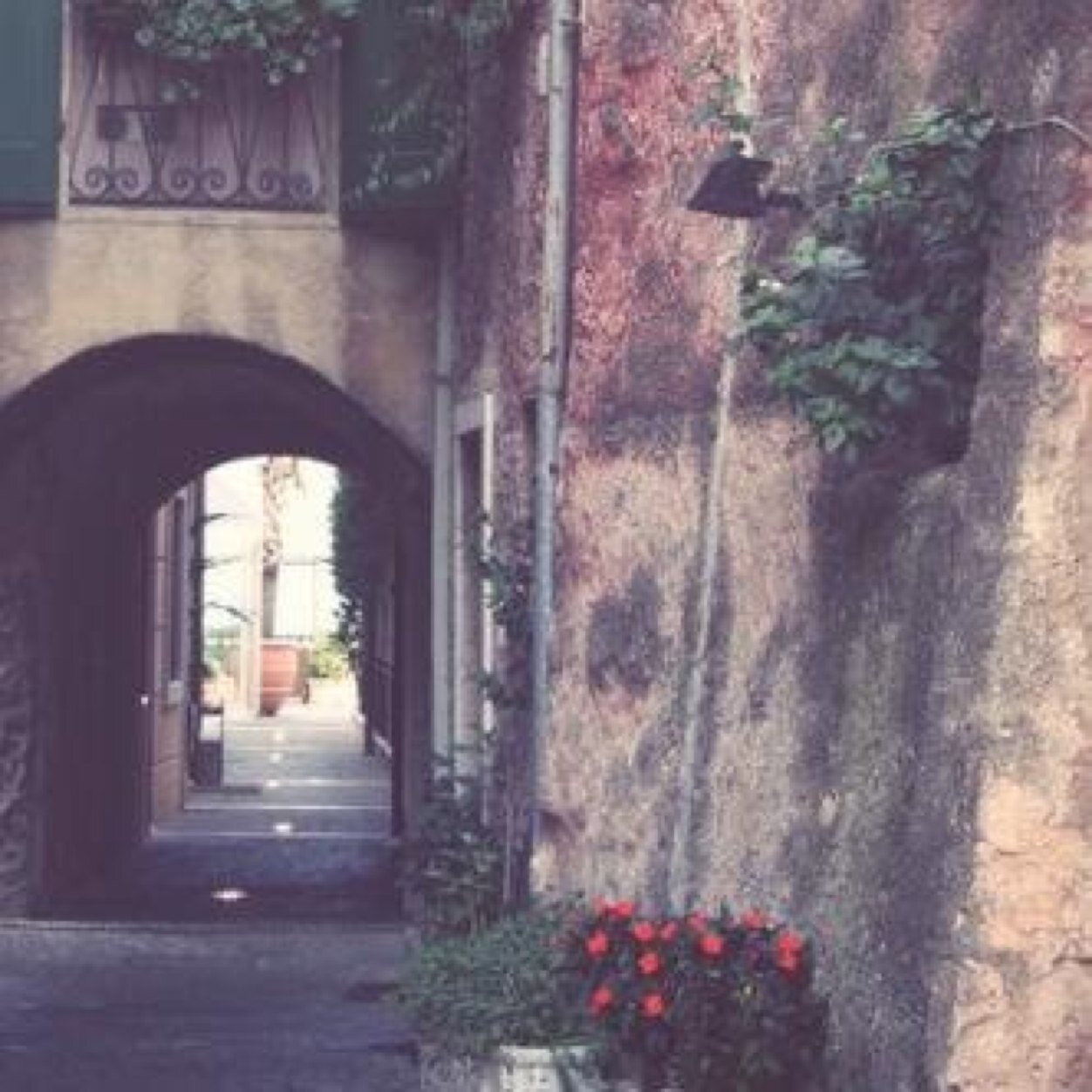 jyhghjhtrhm's profile picture. نَكتُبْ خَوآطرنْا كيّ لاّ نَخْتنَق بَالصَمتْ ،! لكنْ أحَيِانًا نُكثر آلكتَابْة لنْخَتنْق بَالكلمَاتْ ونَخْرس