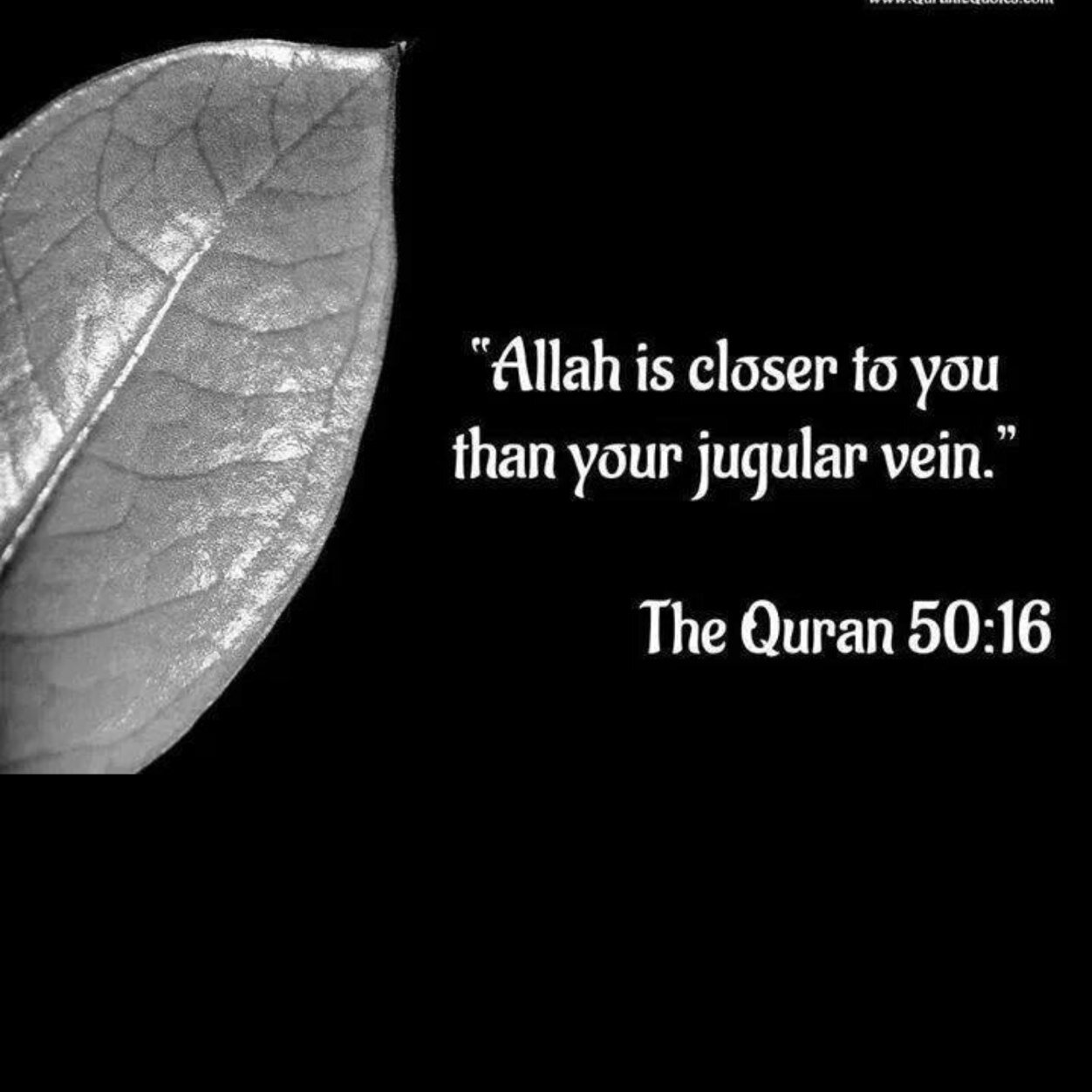 SouSou990's profile picture. Hamdulilah