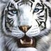 Néstor Iván Caraballo (@nestorivan10) Twitter profile photo