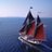 sailangelique's profile image