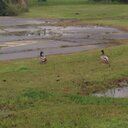 David Hamill - @hamilldw - Twitter