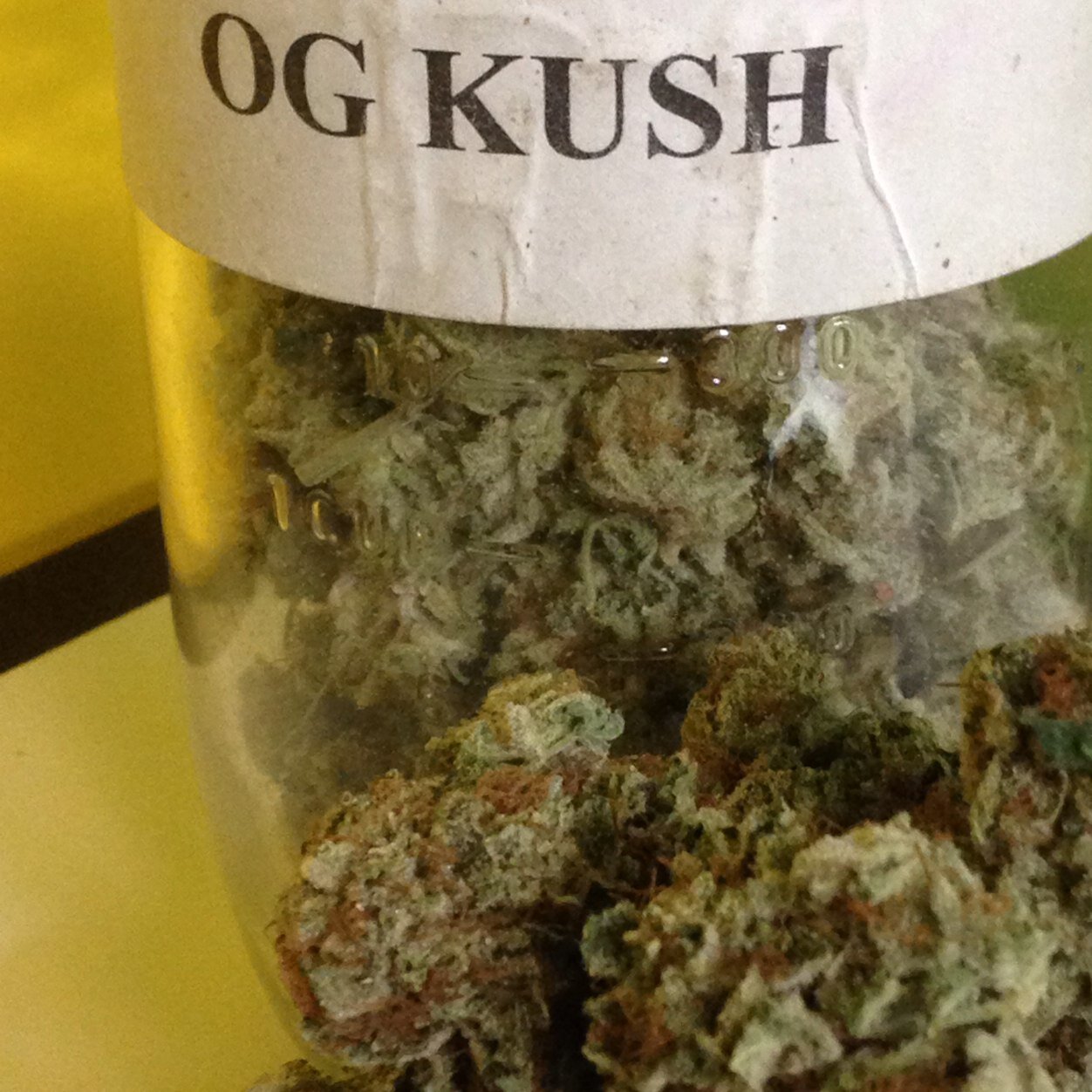 Win Free Meds for a Year! Visit any dispensary on our website for a chance to Win Free Meds for a Year!
