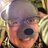 funkyreet's profile image