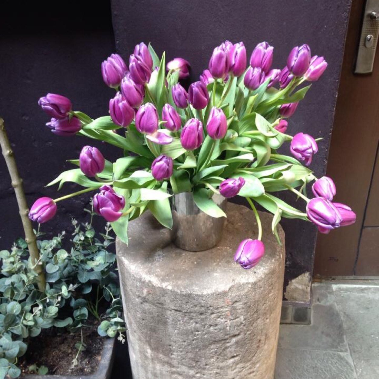 SiobhanGaffey's profile picture. 