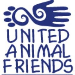 United Animal Friends helps to expand spay, neuter, foster, adoption, rescue services and programs in partnership with our community and other agencies.