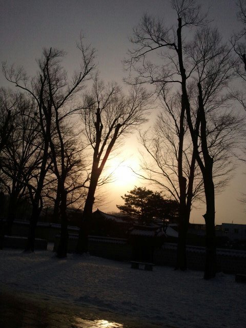 chch9090's profile picture. 