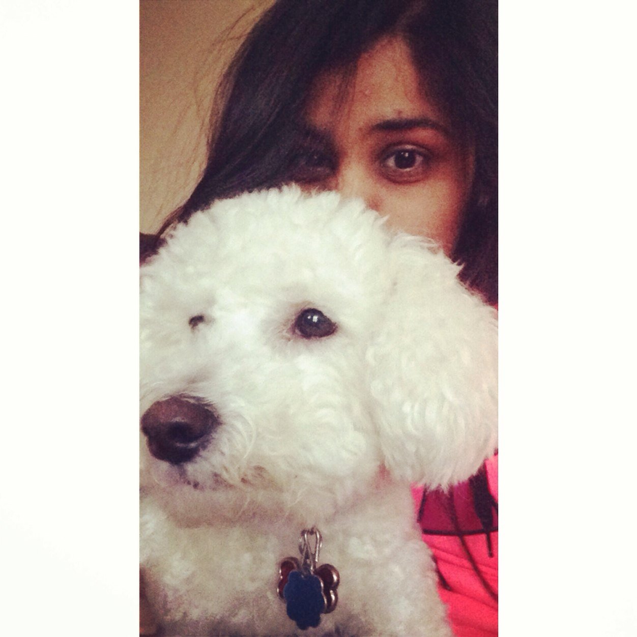 aaku_23's profile picture. Liverpool FC, Steven Gerrard, Chicago Bulls, Derrick Rose, Chicago Blackhawks, Jonathan Toews