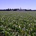 Bill Litwin (@eastkentnotill) Twitter profile photo Bill Litwin (@eastkentnotill) Twitter profile photo