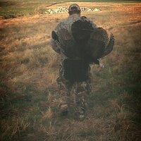 Steven McIntyre (@mcntyre32) 's Twitter Profile