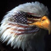 FreedomFighter (@winca072014) 's Twitter Profile