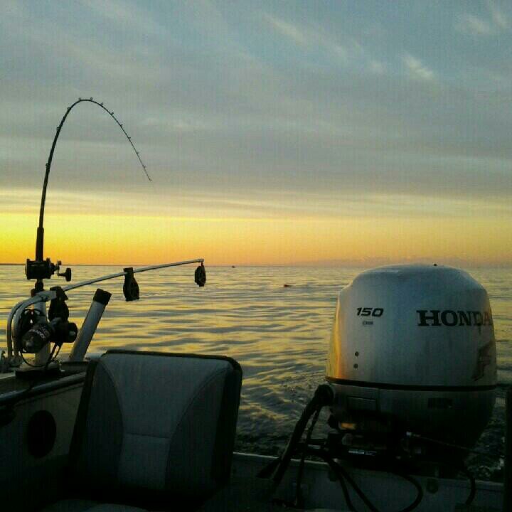 chrismonkeybutt's profile picture. 