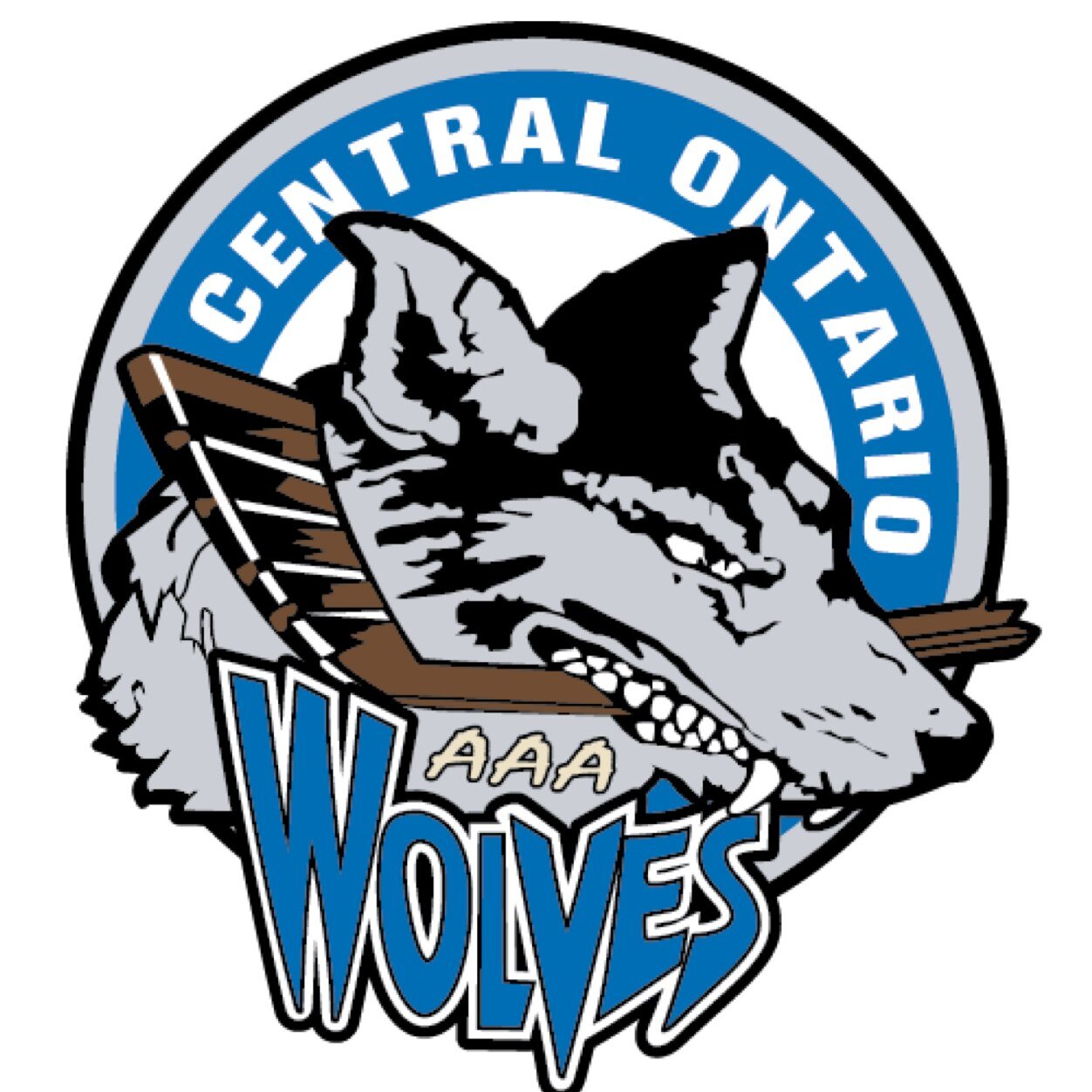 Central Ontario Wolves Minor Midget AAA Hockey Team
