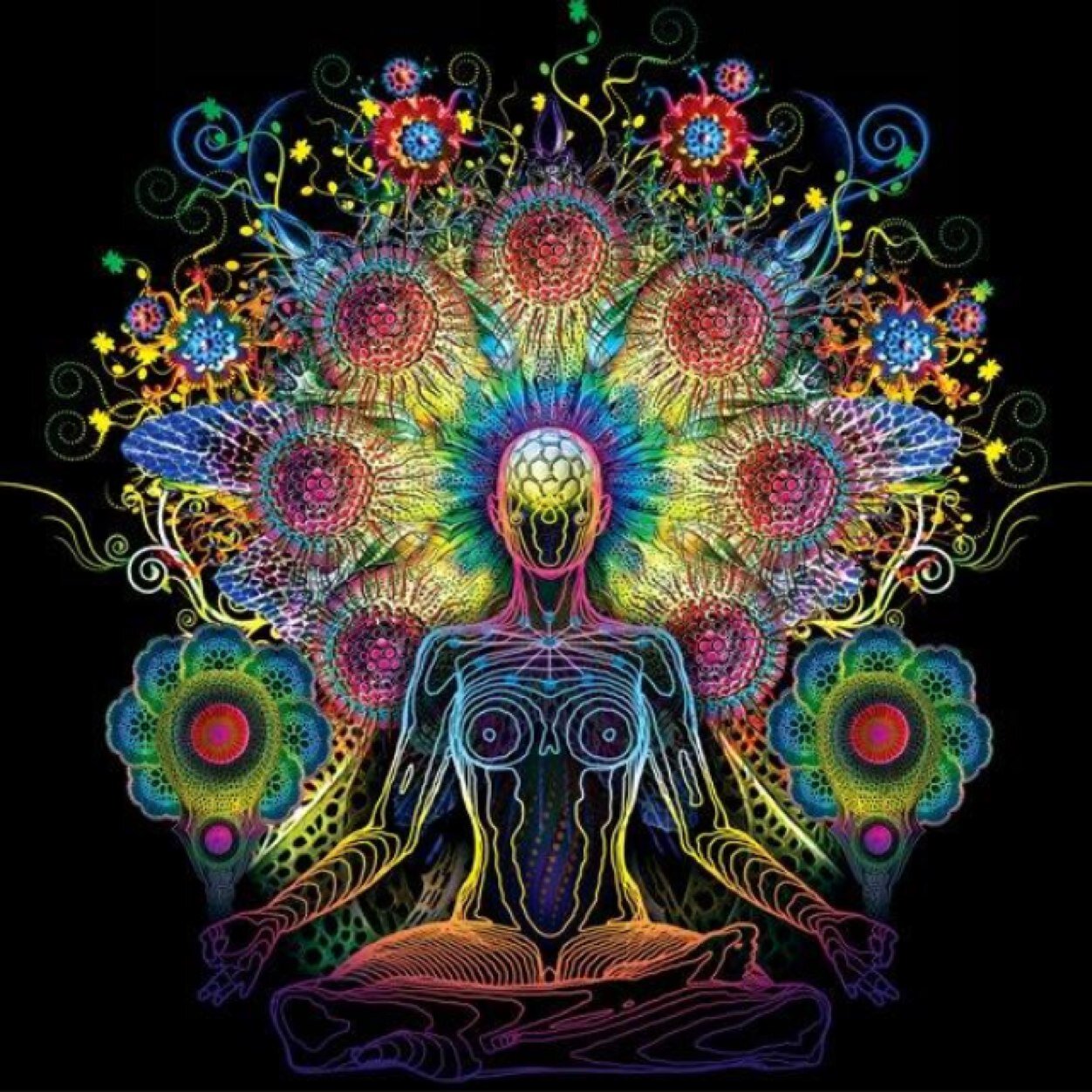 free thinker (xxopenmindsxx) Twitter