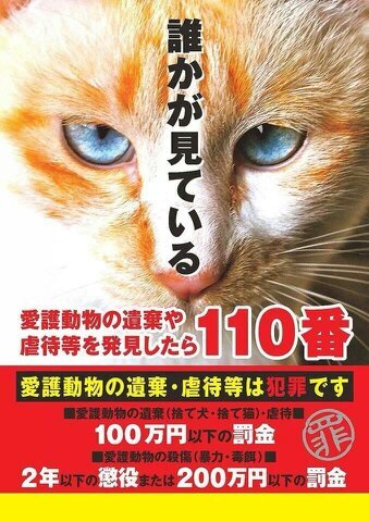 犬・猫・里親募集・殺処分反対・動物好き仲間フォローお願いします。(制限がかかりお返しにお時間頂きますが相互フォローかならずします)無言フォロー失礼します。