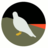 towerfdn's profile image