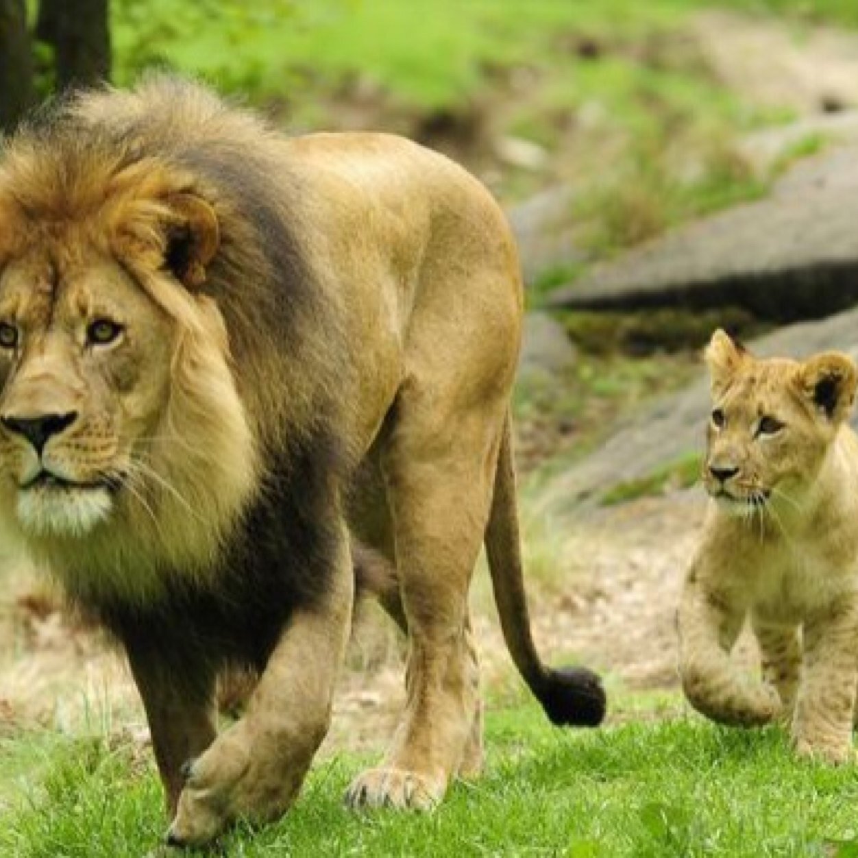 PerpetuatorTM's profile picture. Consultant for Canadian P&C insurance brokers: Showing brokers how to perpetuate internally instead of selling out to consolidators. Serious enquiries only.