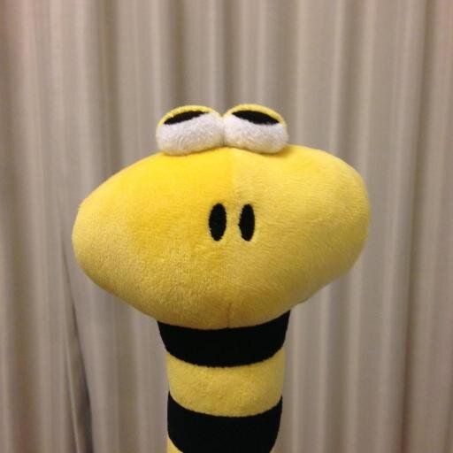 kohtaka's profile picture. 