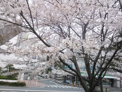 timoya0301's profile picture. 