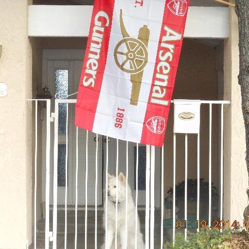 Red Member, Scuba Diver, Love The Arsenal and taking in the matches at the pub with my kids and Grandkids. Bonaire is my 2nd favorite place.