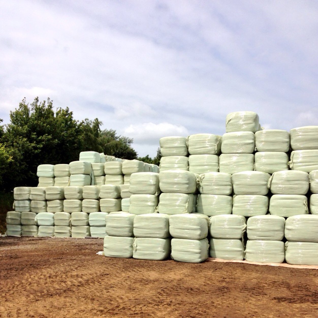 Suppliers of top quality award winning hay and haylage. Based near Banbury in Oxfordshire.