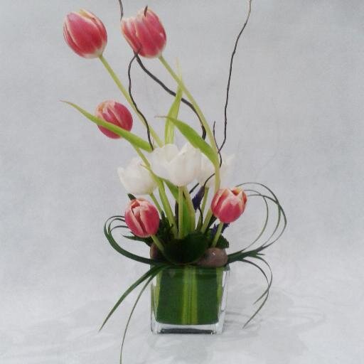 lotus forms viewer free lotus forms viewer free