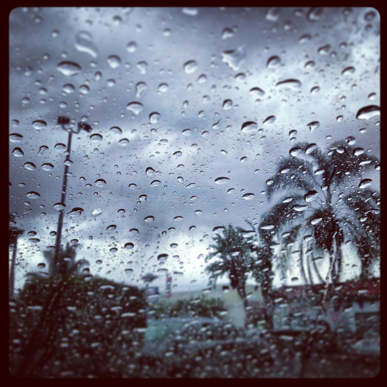 aeolankelly's profile picture. I don't check this account much, but I'm often to be found at @aeolan