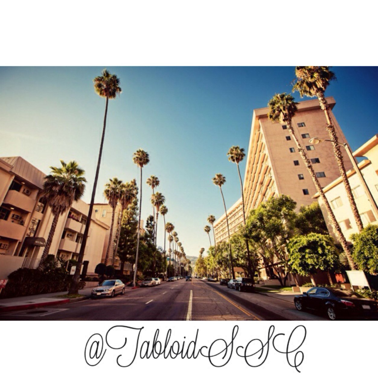 TabloidSSC's profile picture. Is this how you want your secrets spilled, hm? Well, we have spies, and theh watch you. ;)