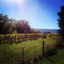 Cam Joyce - @Sheriffcambo - Twitter