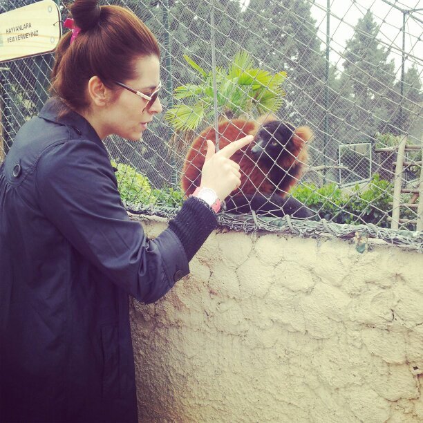 CvsYasemin's profile picture. 