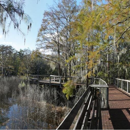 TallahaseeEDC's profile picture. We tweet about events!