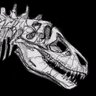 matt_nava's profile picture. Creative Director of The Pathless and ABZÛ. Art Director of Journey and Flower. Natural history/dinosaur enthusiast. https://t.co/UubQDwhhB3