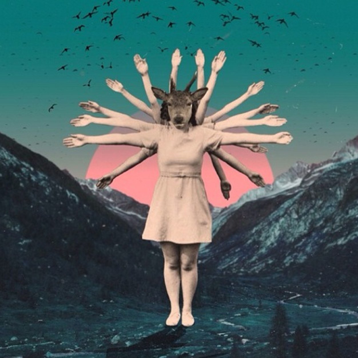 flowers in my hair & demons in my head