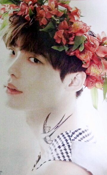 only LEEJONGSUK💘