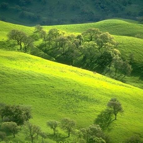 ElbertaBradshaw's profile picture. Friend of animals everywhere ,  ;  experienced:General pop culture practitioner