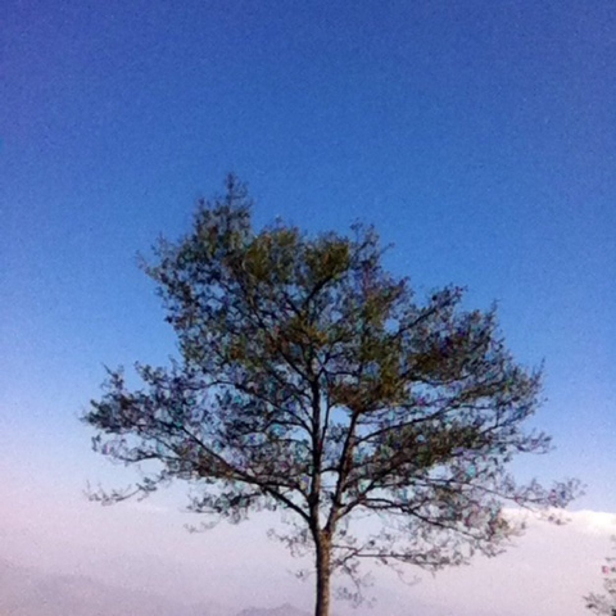 CafeDeGenre's profile picture. Coffee, Budget Breakfast Deals (all day), Summer Survival, Damn Juicy Fat Free Momos, Finger Snacks, Sandwich Mama's style & more at Unbelievable Prices. Come!