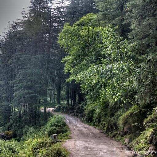 Sushant_789's profile picture. 