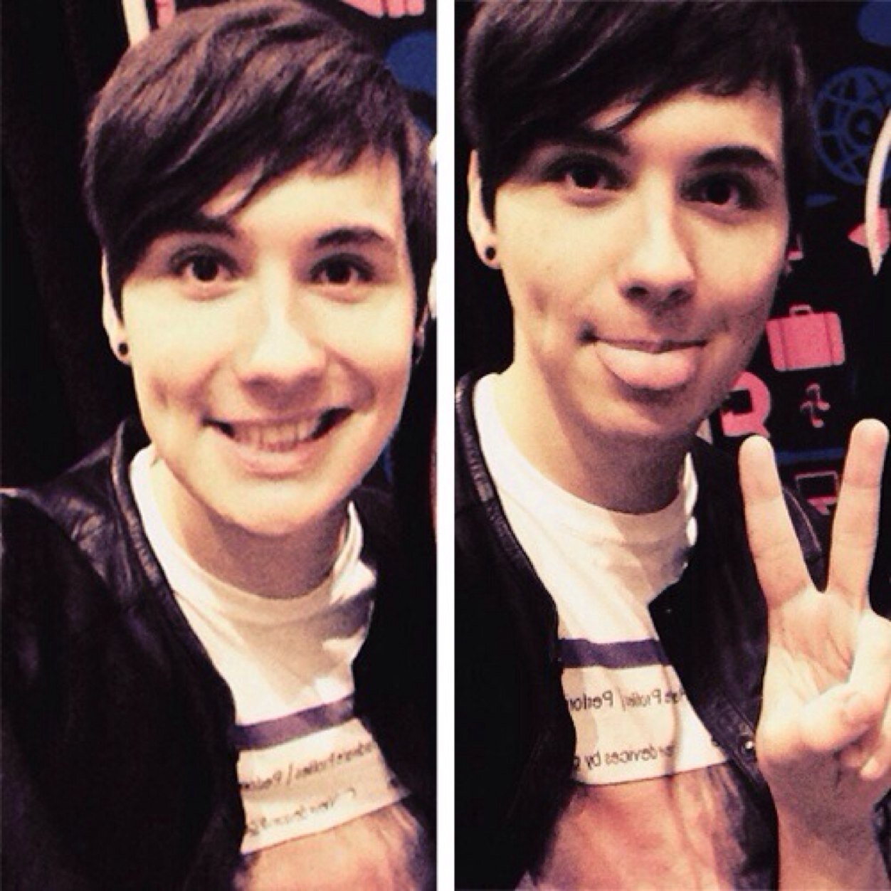 youtubers // bands // cute animals // forests