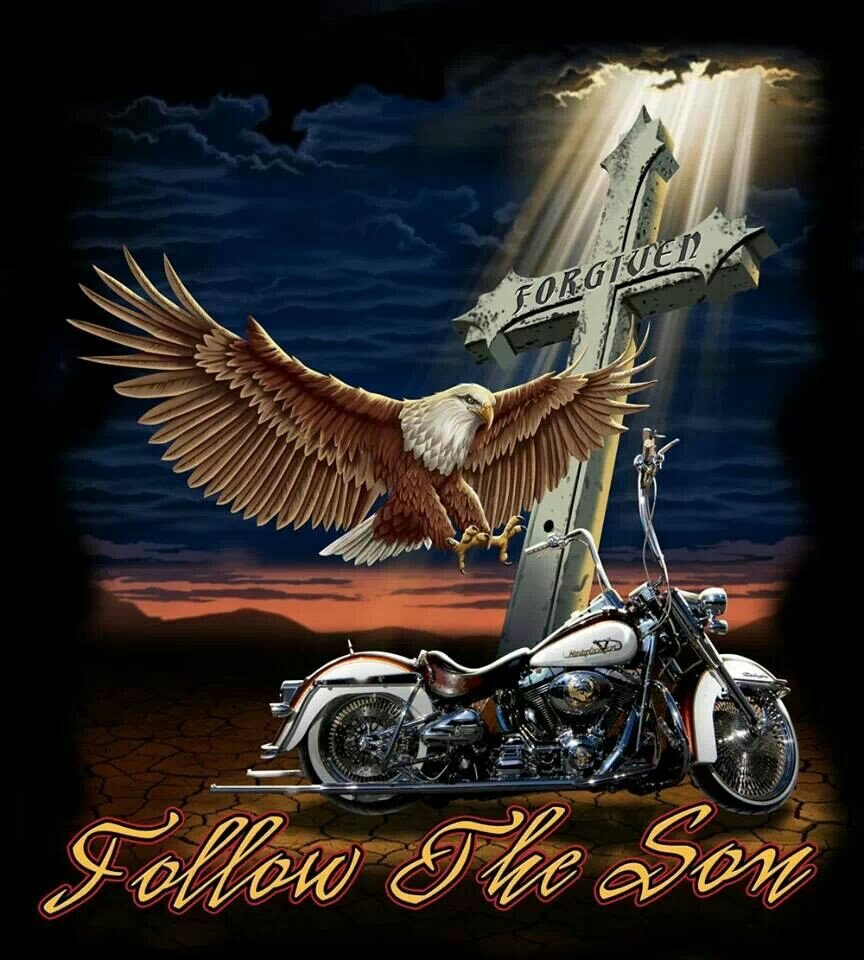 bigdawggg123's profile picture. 