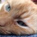 Wendy Ellis (@wendy_ellis1) Twitter profile photo