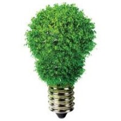 Ontwikkeling en begeleiding van Marketingconcepten voor (startende) ondernemers. Van de Veluwe voor de Veluwe.

Voor een ander licht op de situatie